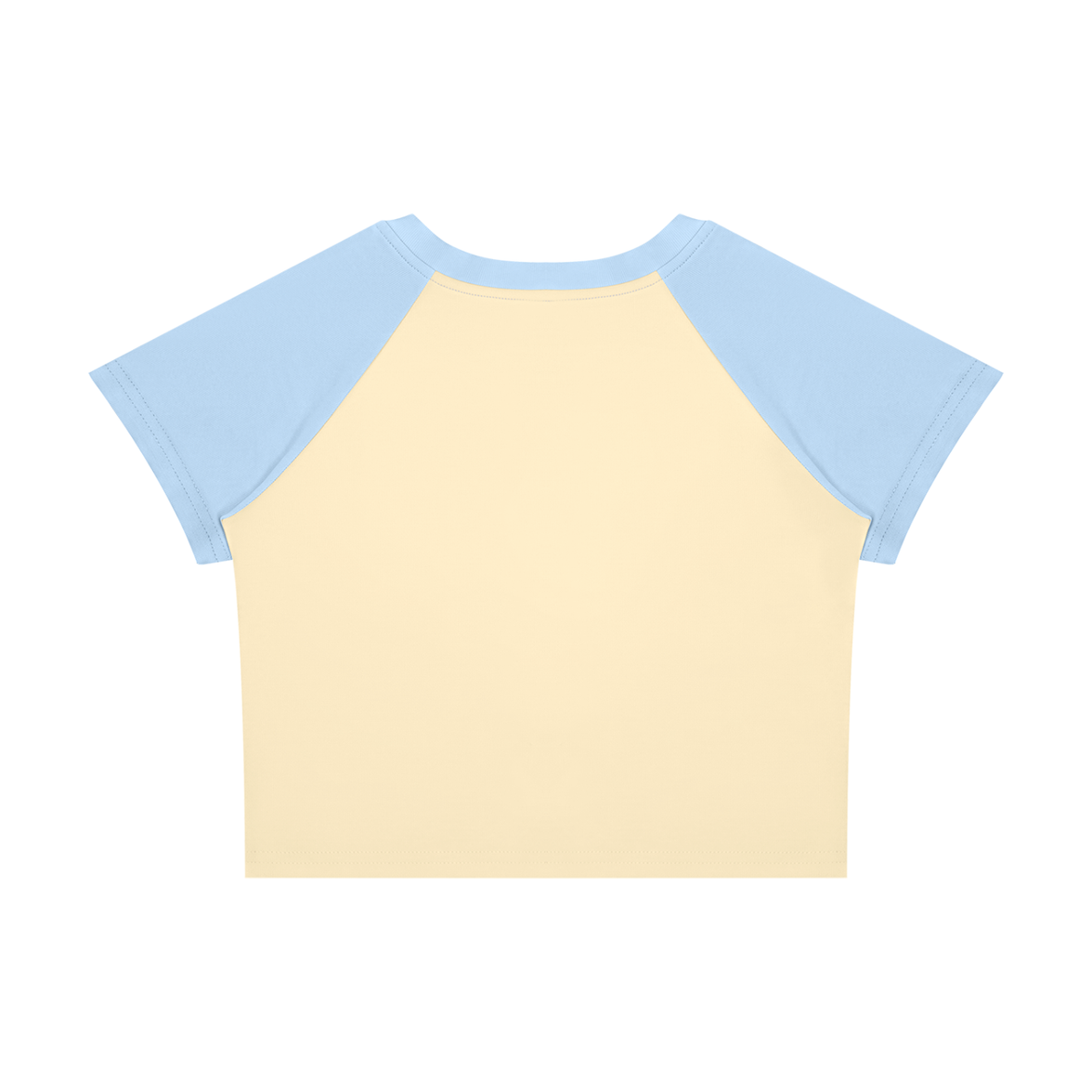 Color Block Crop T-Shirt